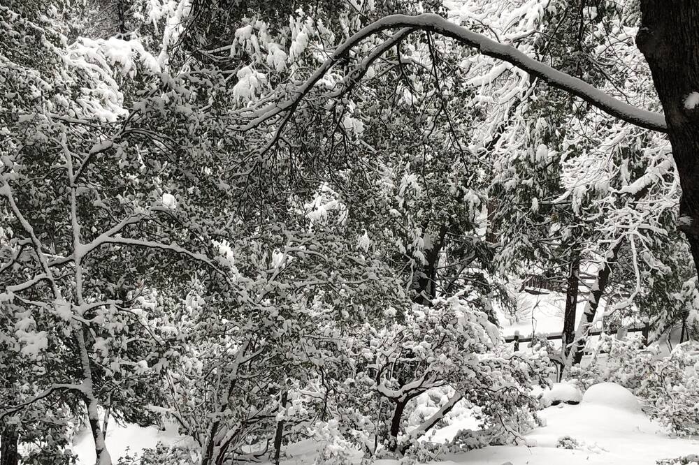 Photo of Outdoor in Idyllwild
