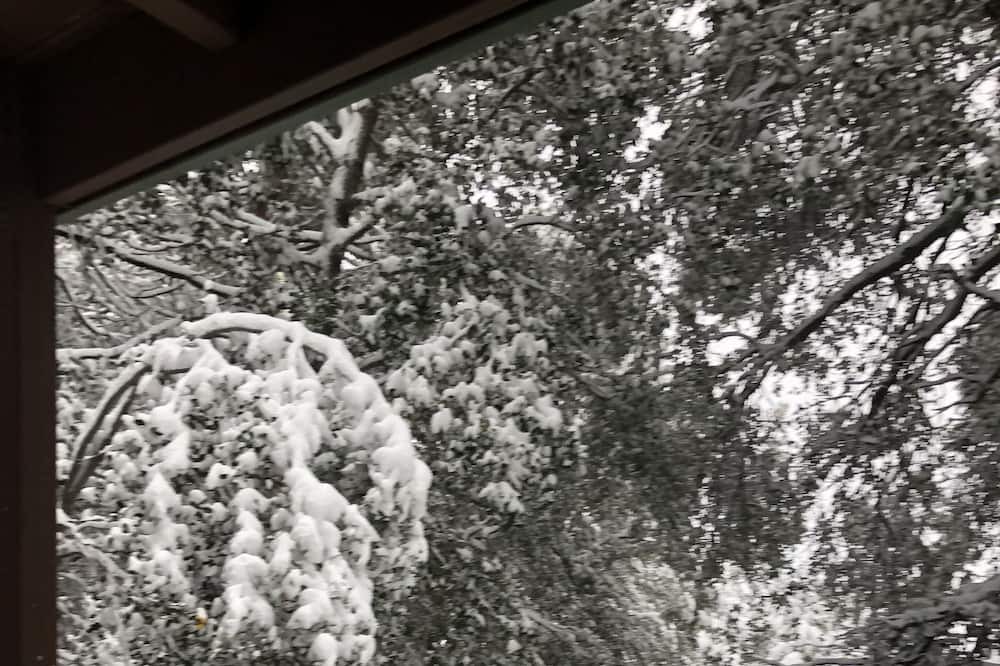 Photo of Patio Balcony in Idyllwild