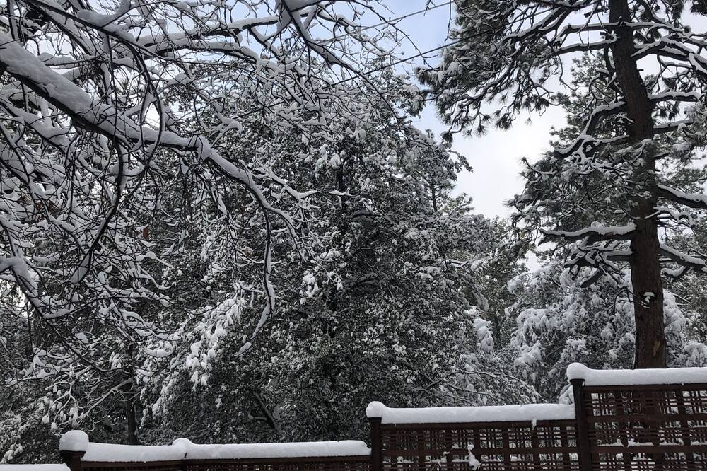 Photo of Others in Idyllwild