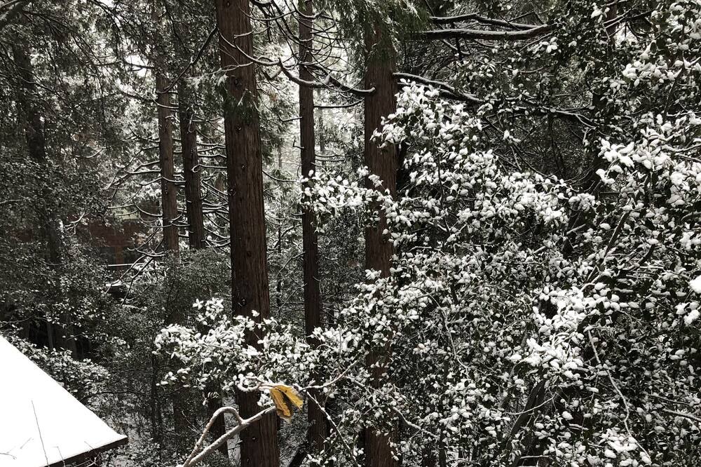 Photo of Others in Idyllwild