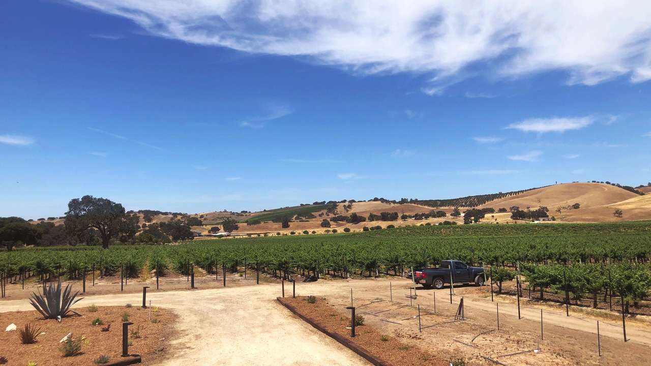 Photo of Others in Paso Robles