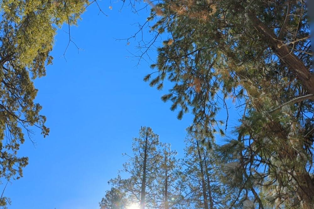 Photo of Outdoor in Fern Valley
