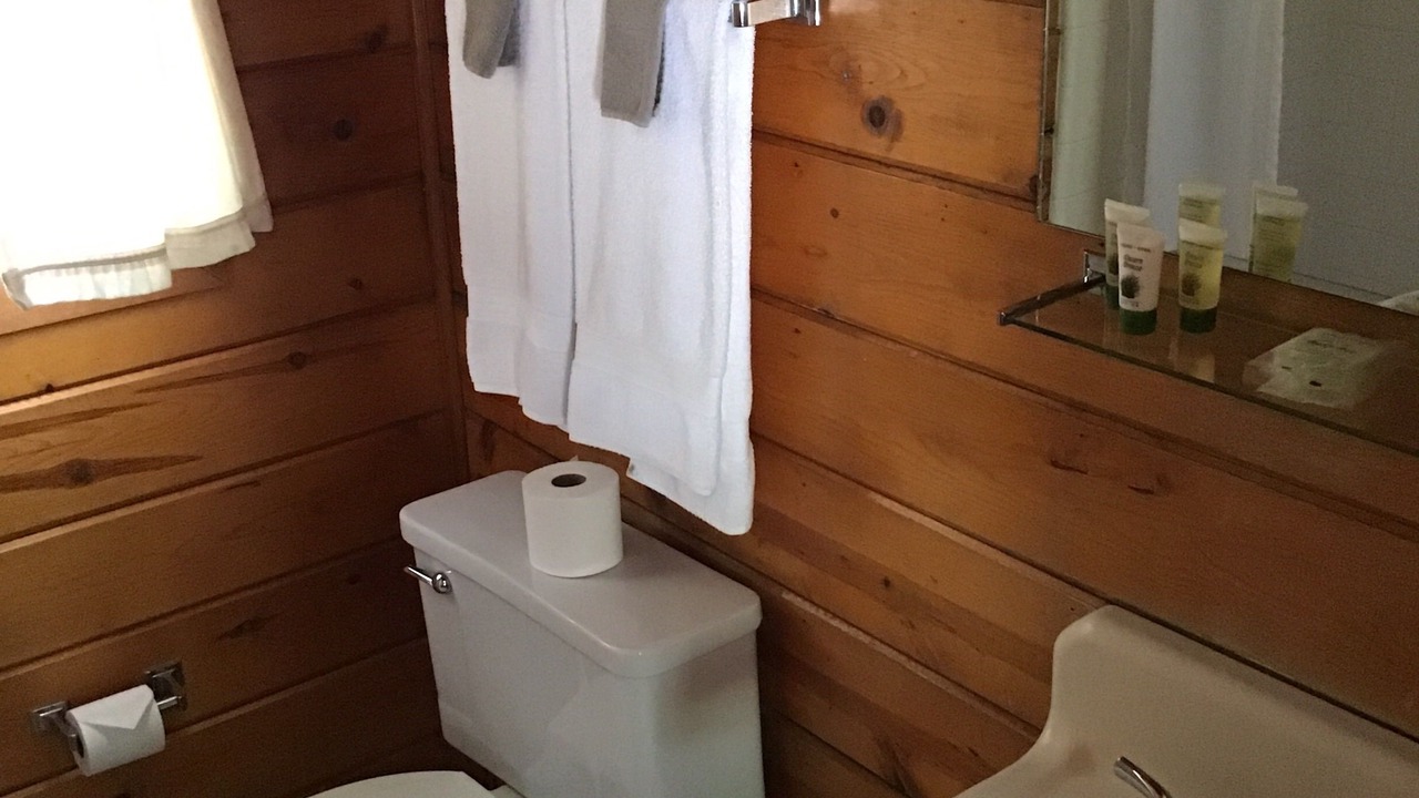 Photo of Bathroom in Walker