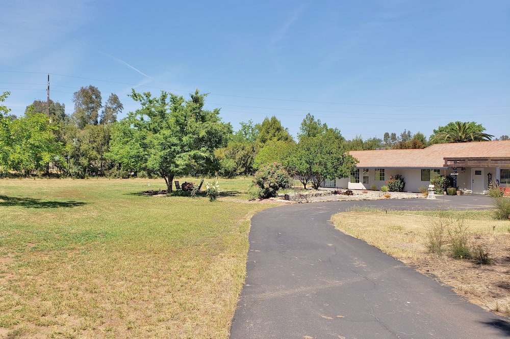 Photo of Outdoor in Woodland