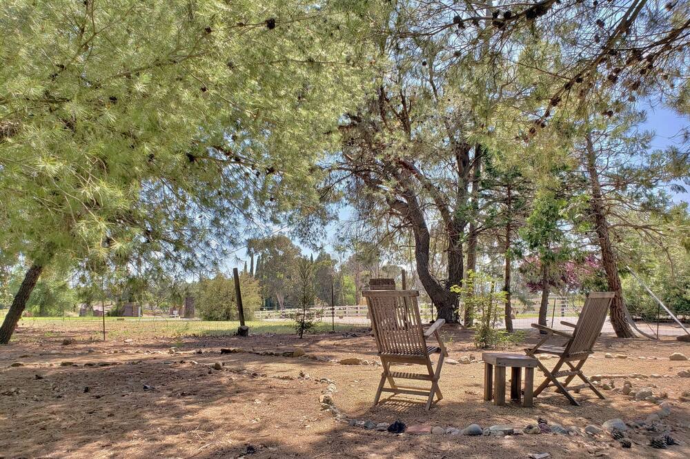 Photo of Outdoor in Woodland