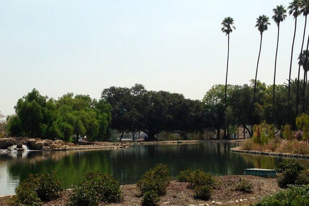 Photo of Outdoor in Los Feliz