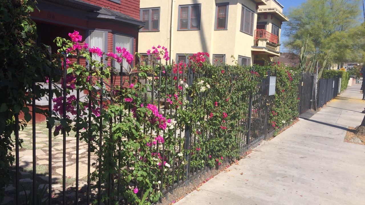 Photo of Outdoor in Highland Park