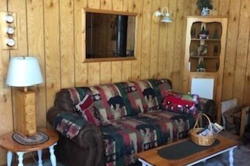 Photo of Livingroom in Twain Harte