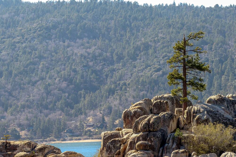 Photo of Others in Big Bear Lake