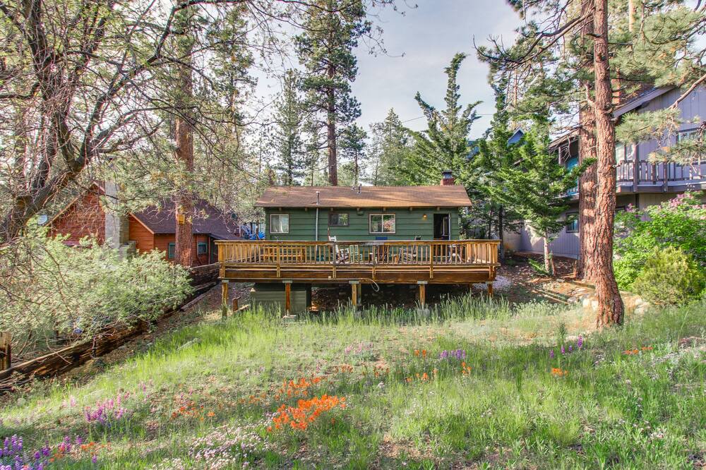 Photo of Others in Big Bear Lake