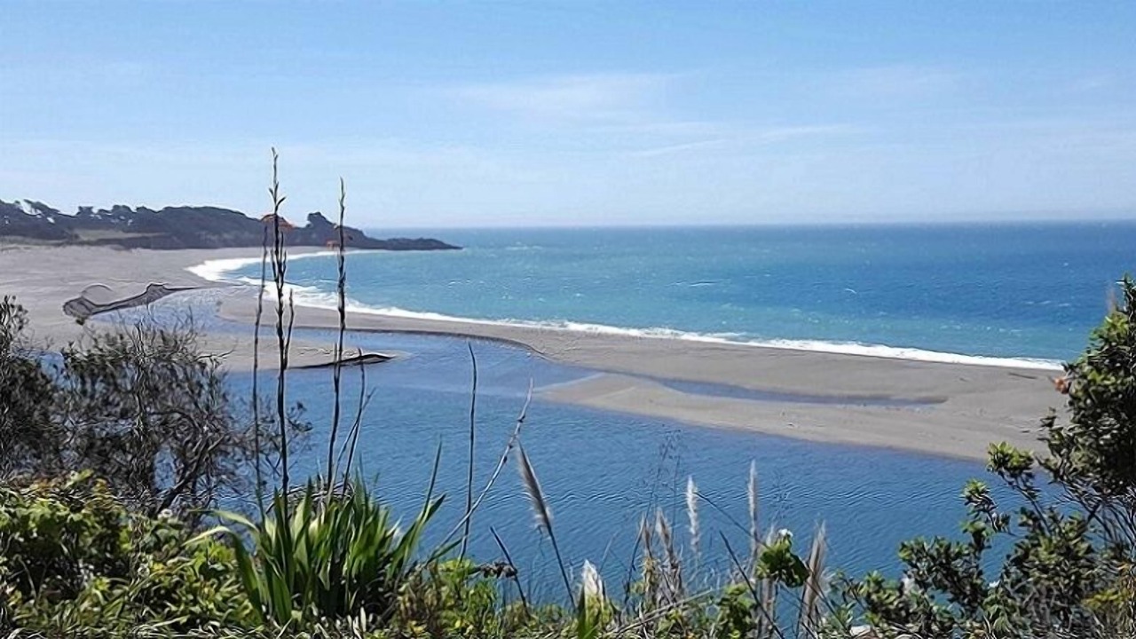 Photo of Others in Gualala