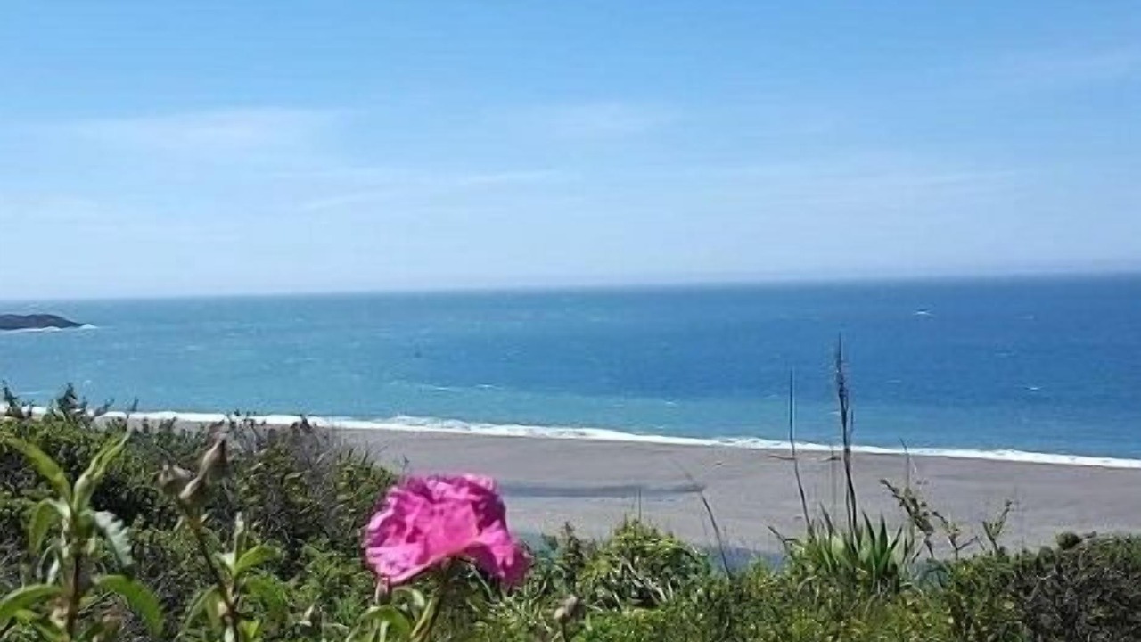 Photo of Others in Gualala
