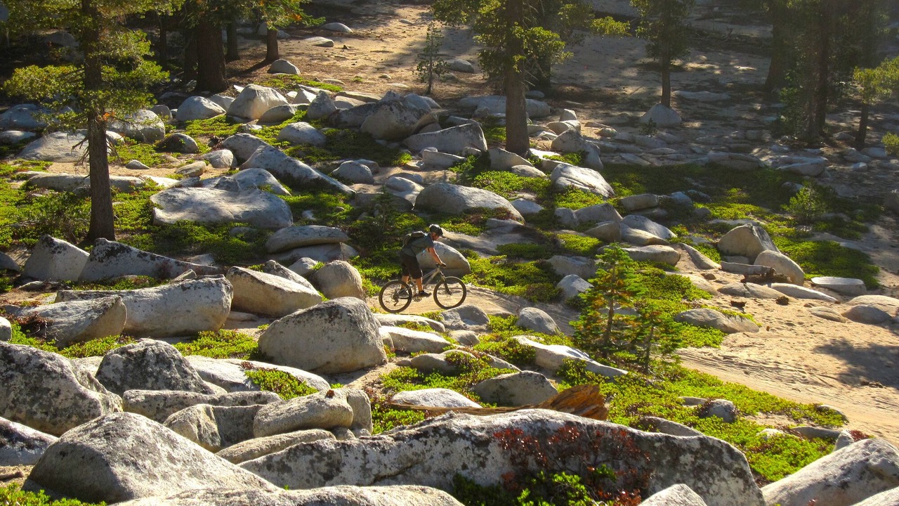 Photo of Outdoor in Tahoe Keys