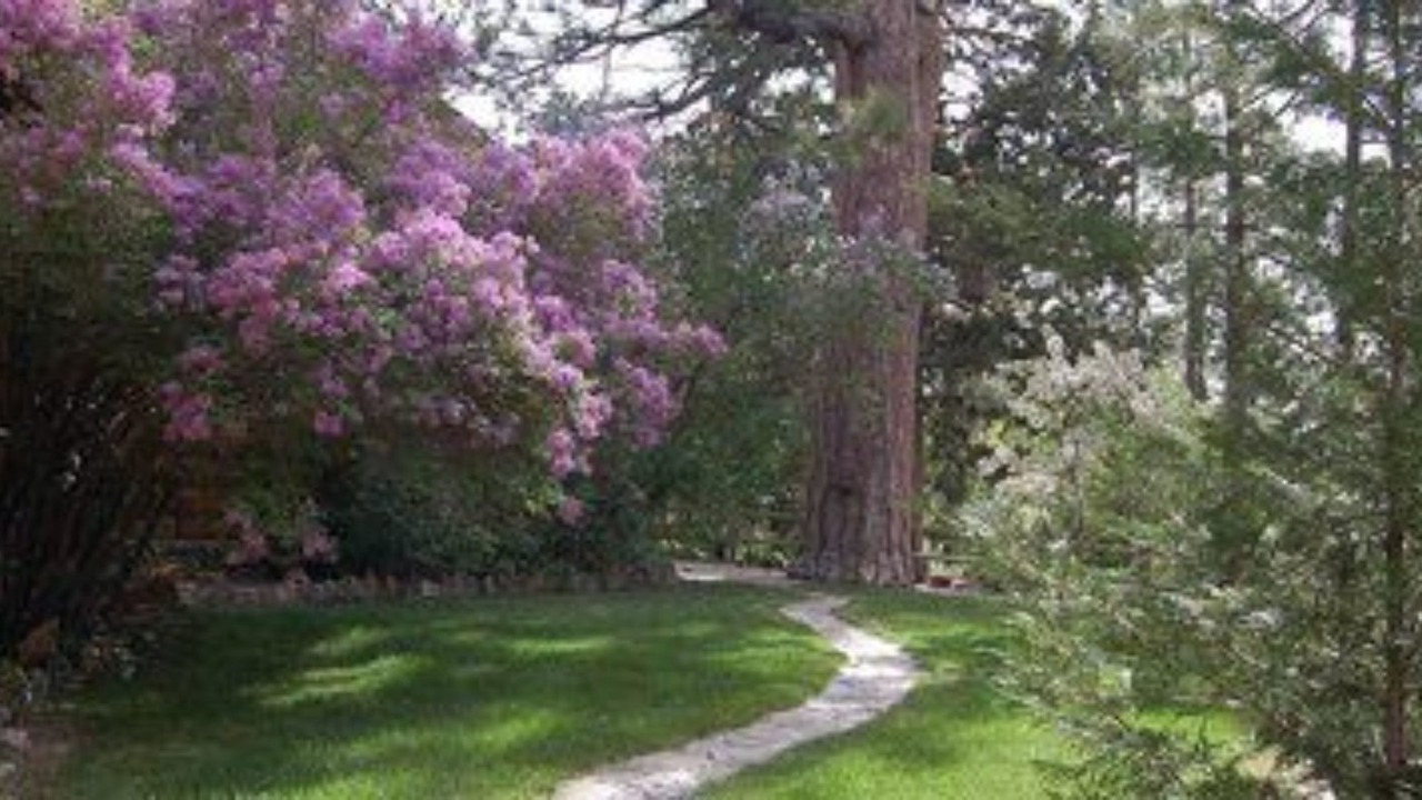 Photo of Outdoor in Big Bear City
