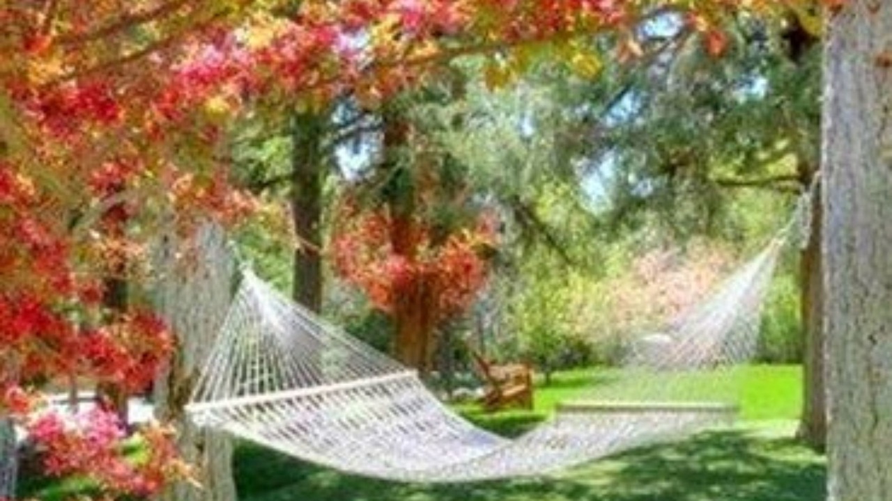 Photo of Outdoor in Big Bear City