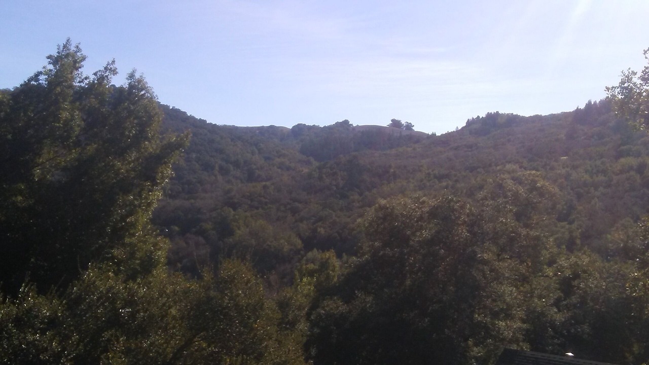 Photo of Others in Healdsburg