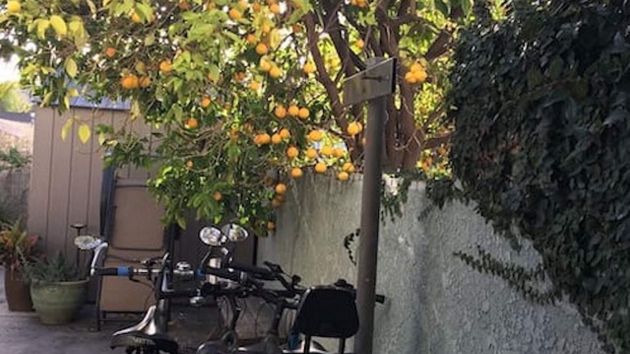 Photo of Outdoor in Atwater Village