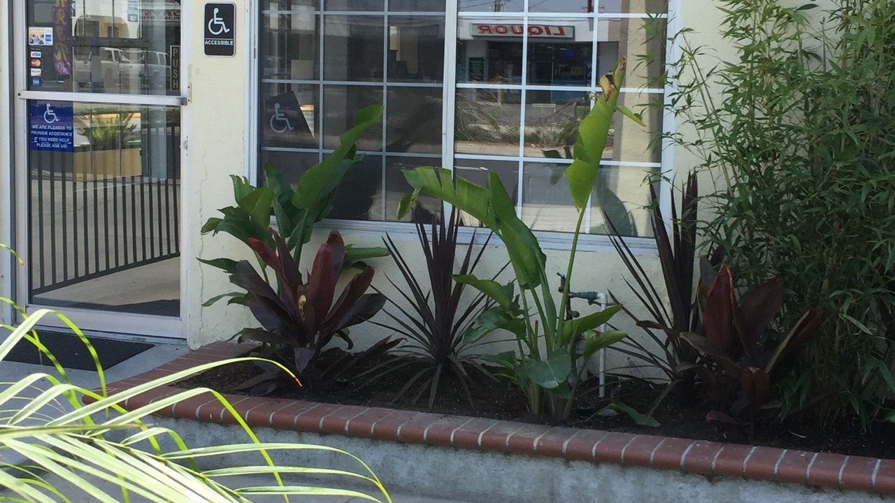 Photo of Outdoor in Northwest Anaheim