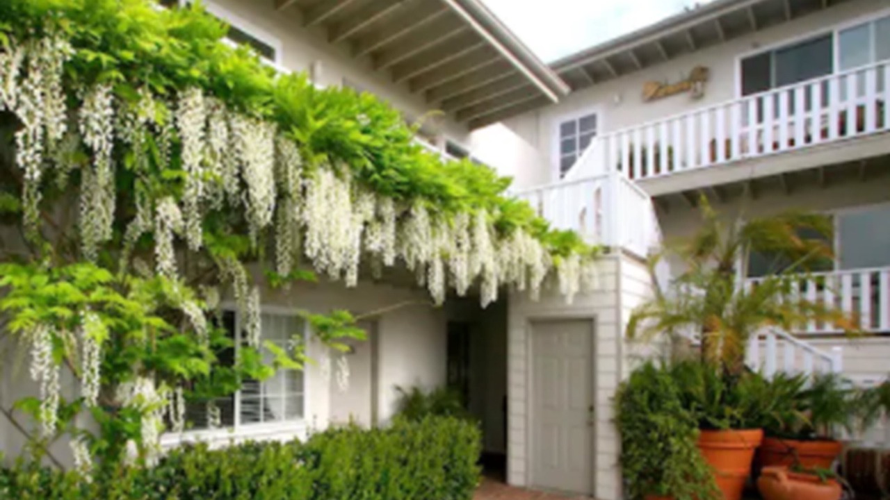 Photo of Outdoor in Laguna Beach