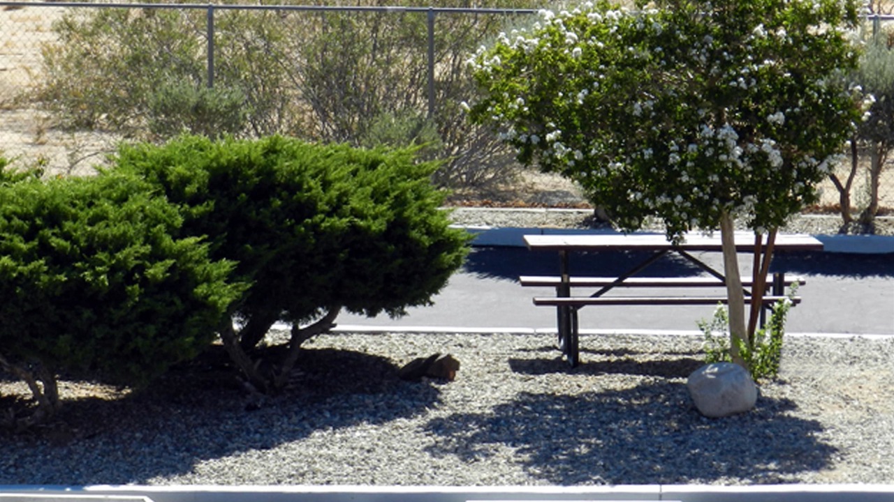 Photo of Outdoor in Joshua Tree