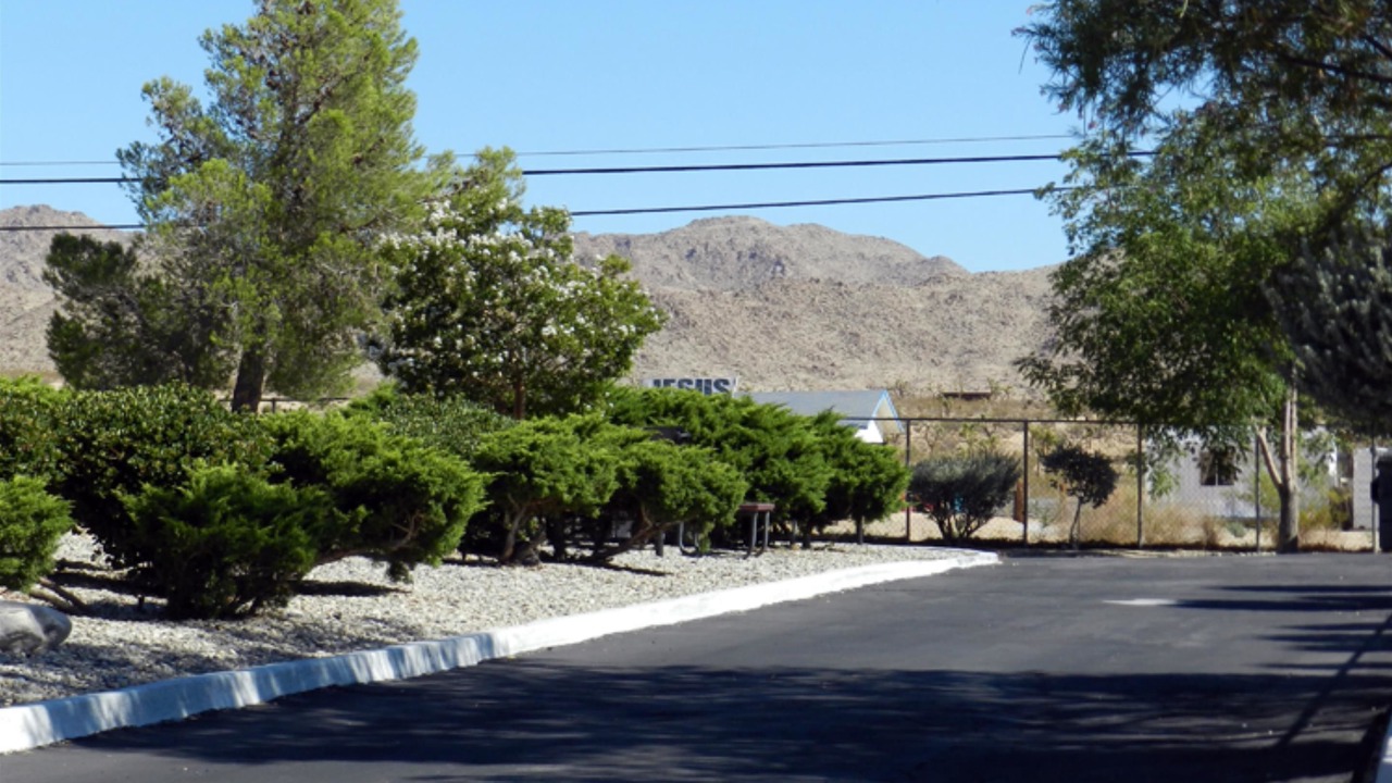 Photo of Others in Joshua Tree