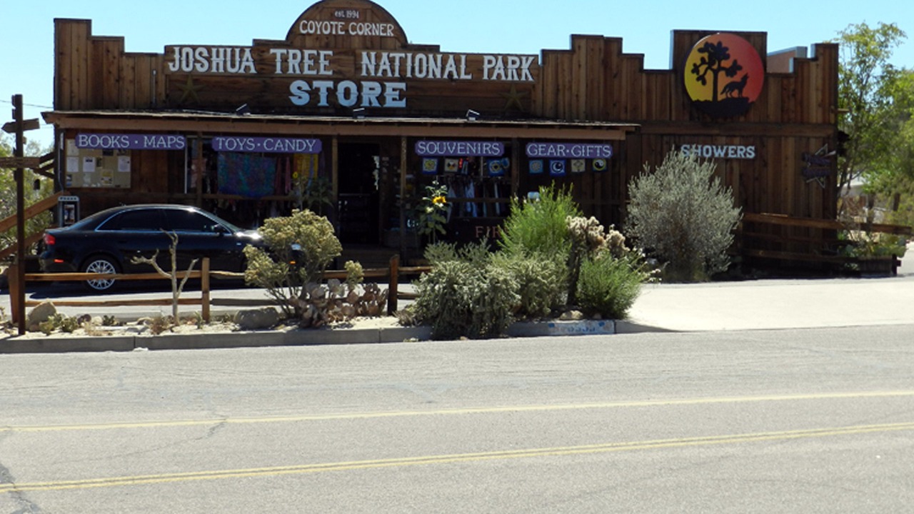 Photo of Others in Joshua Tree