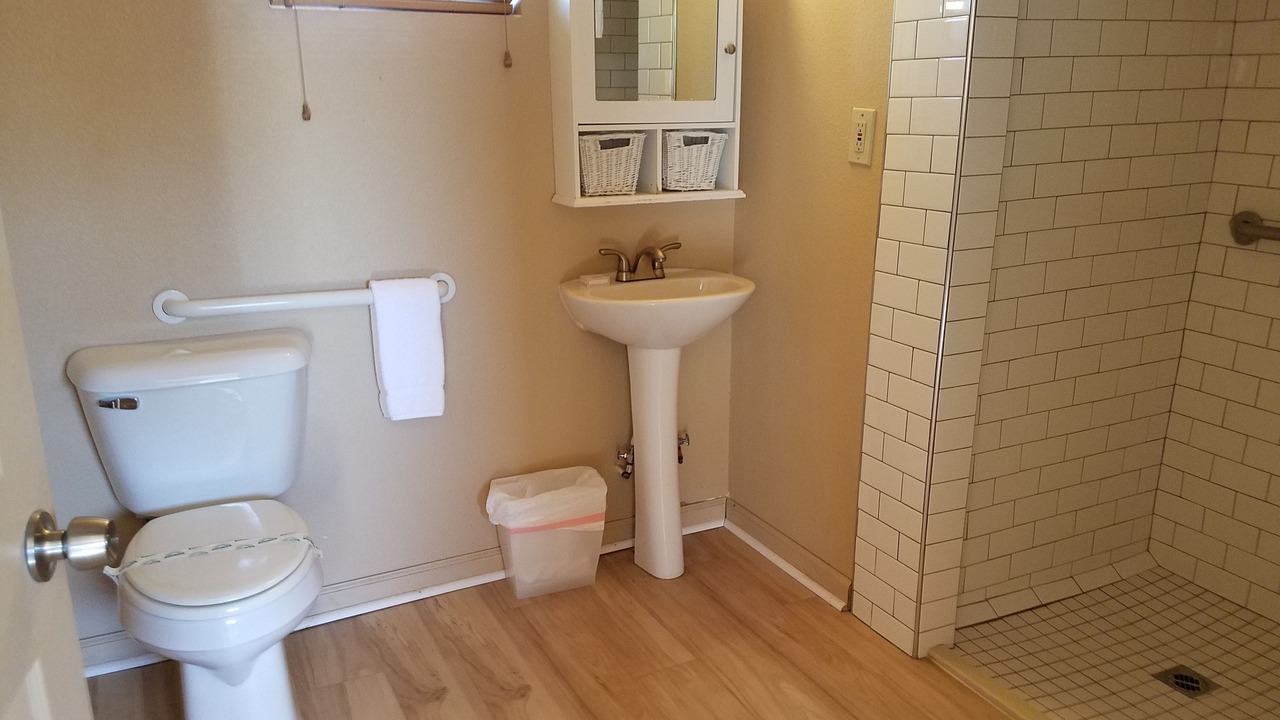 Photo of Bathroom in Shoshone