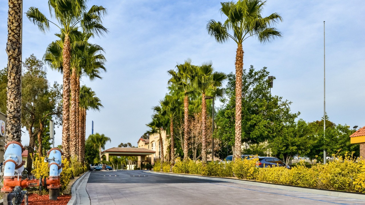 Photo of Outdoor in Redlands