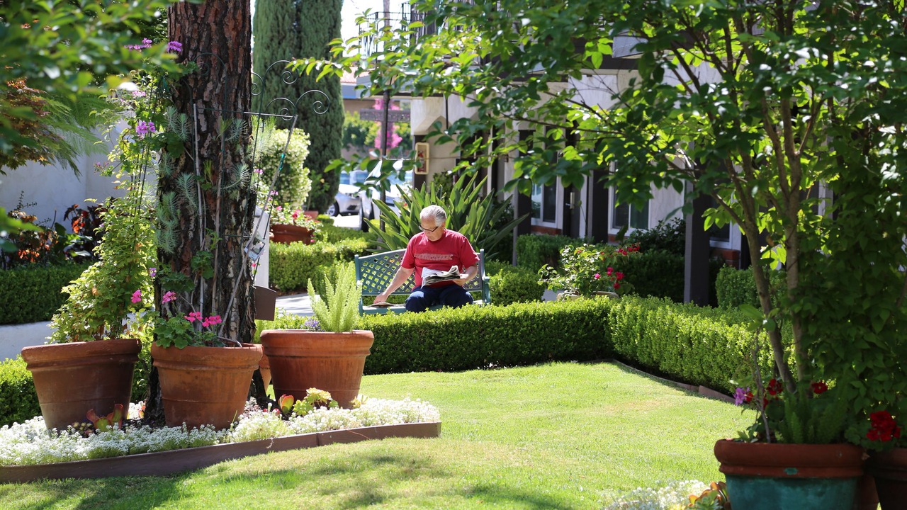 Photo of Outdoor in Laguna Hills
