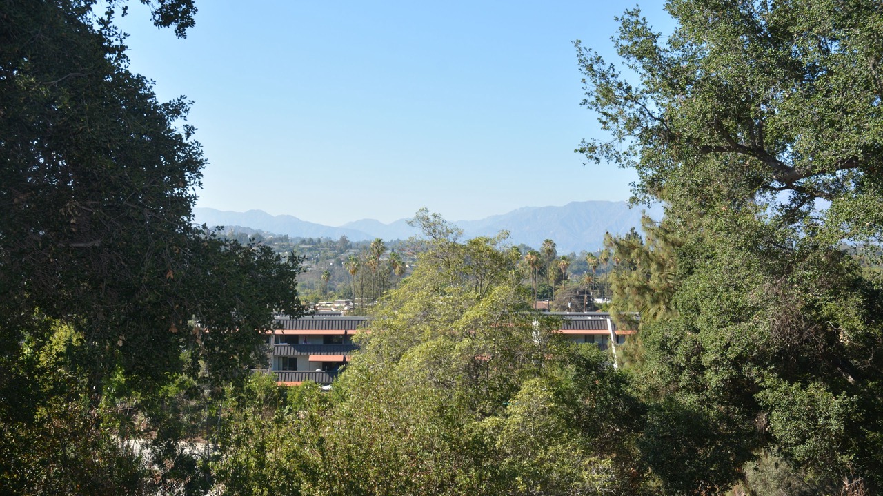 Photo of Others in South Pasadena