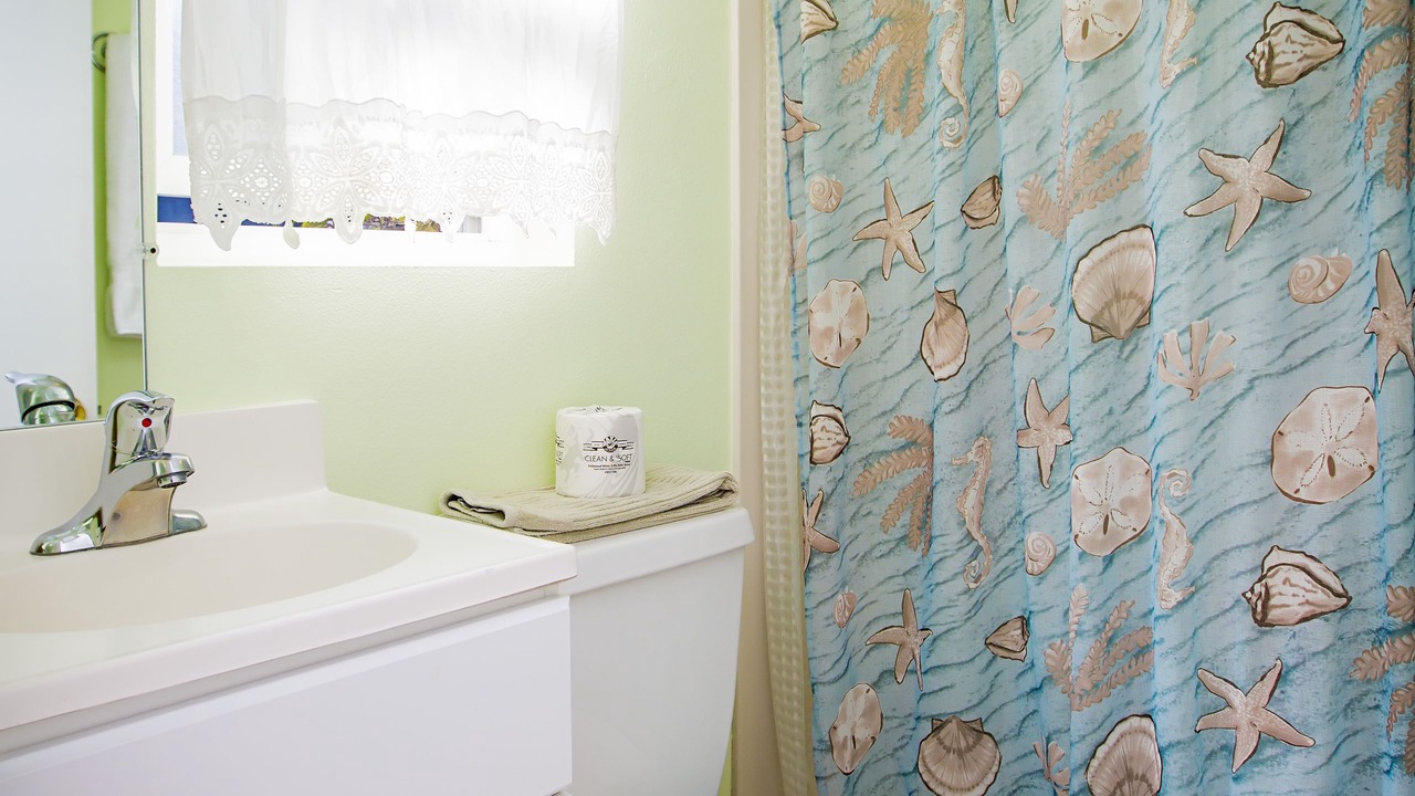 Photo of Bathroom in Leucadia