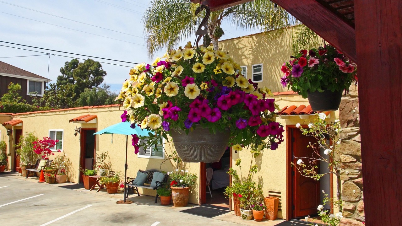 Photo of Outdoor in Leucadia