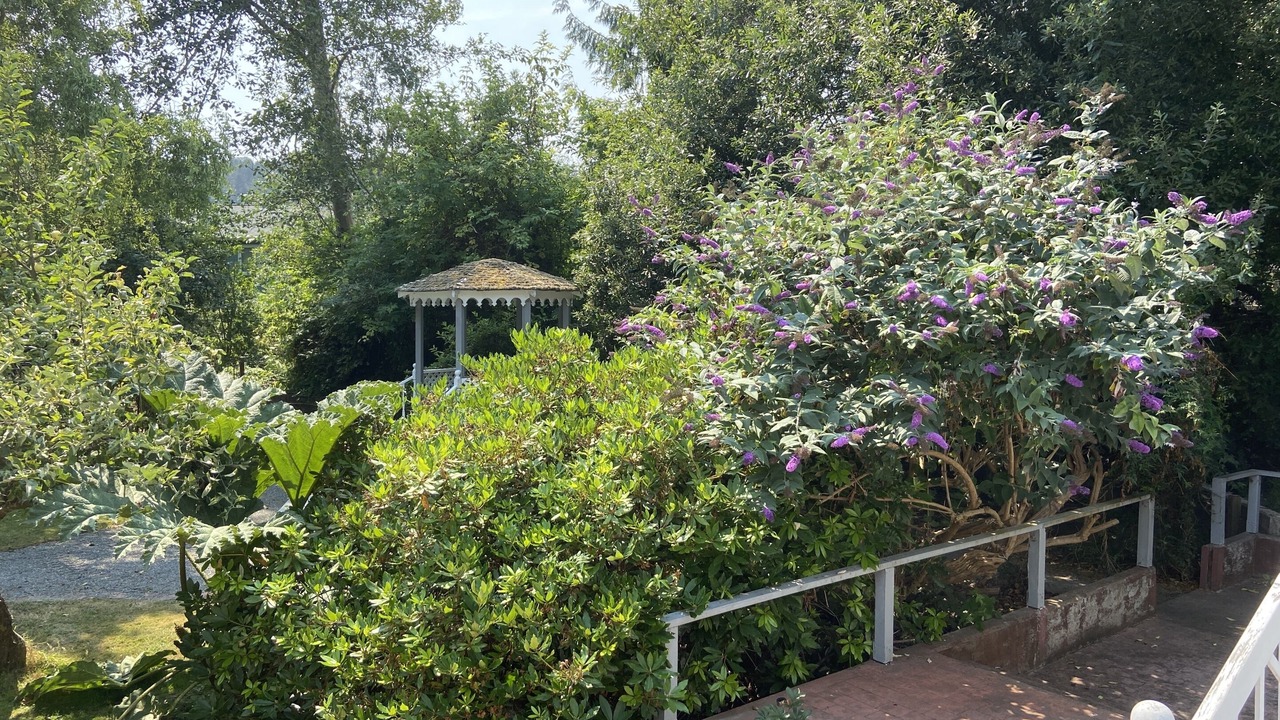 Photo of Outdoor in Ferndale