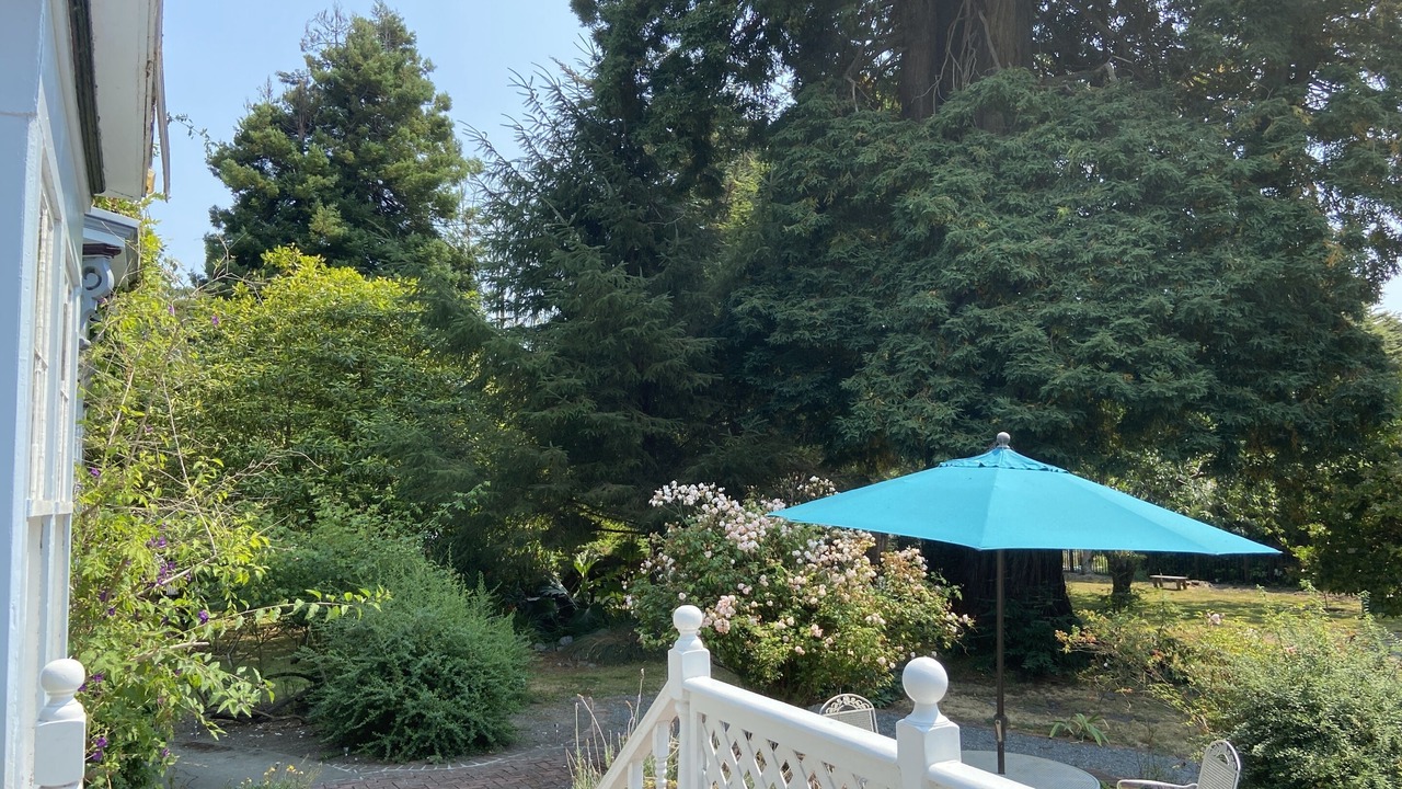 Photo of Outdoor in Ferndale