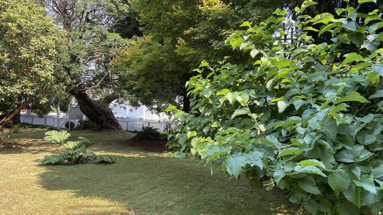 Photo of Outdoor in Ferndale