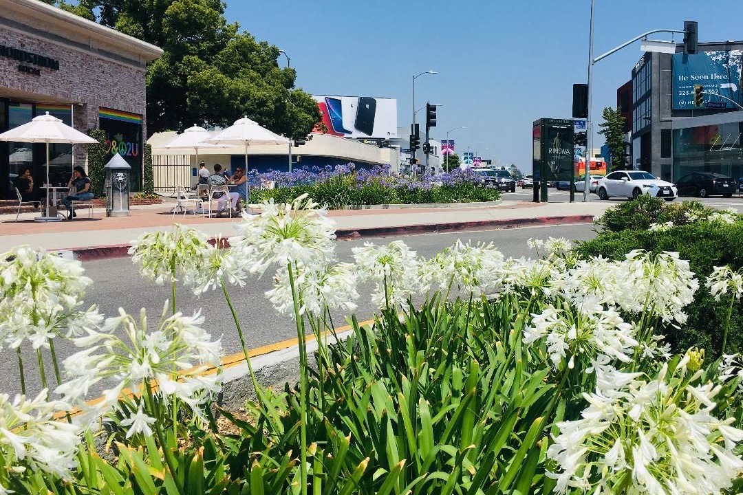 Photo of Others in Beverly Grove