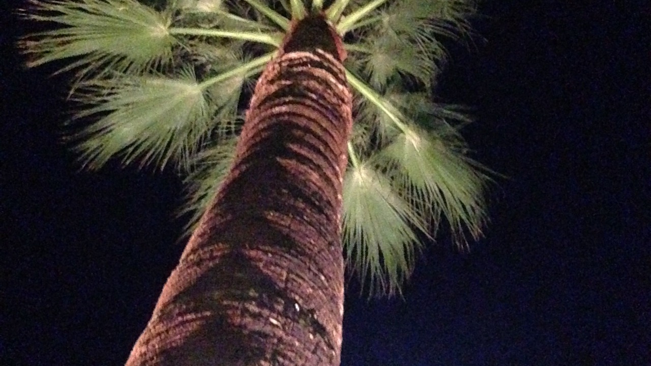 Photo of Outdoor in Beverly Grove