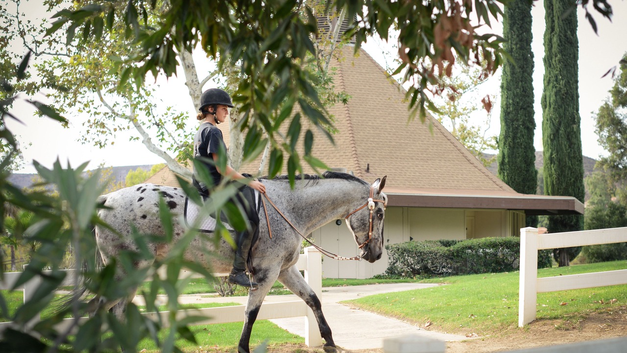 Photo of Others in San Diego Country Estates