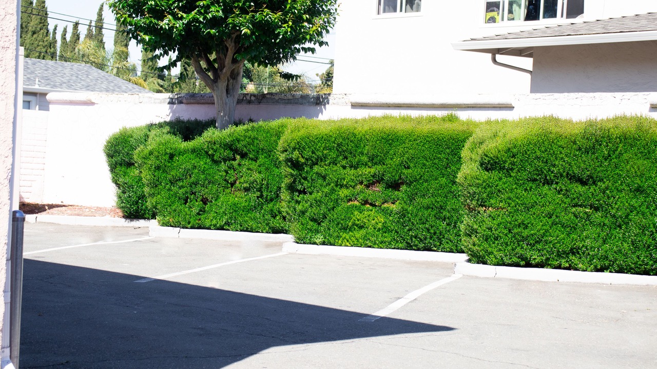 Photo of Outdoor in Hayward