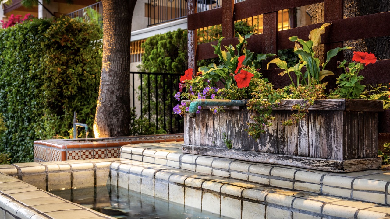 Photo of Outdoor in Northwest Anaheim
