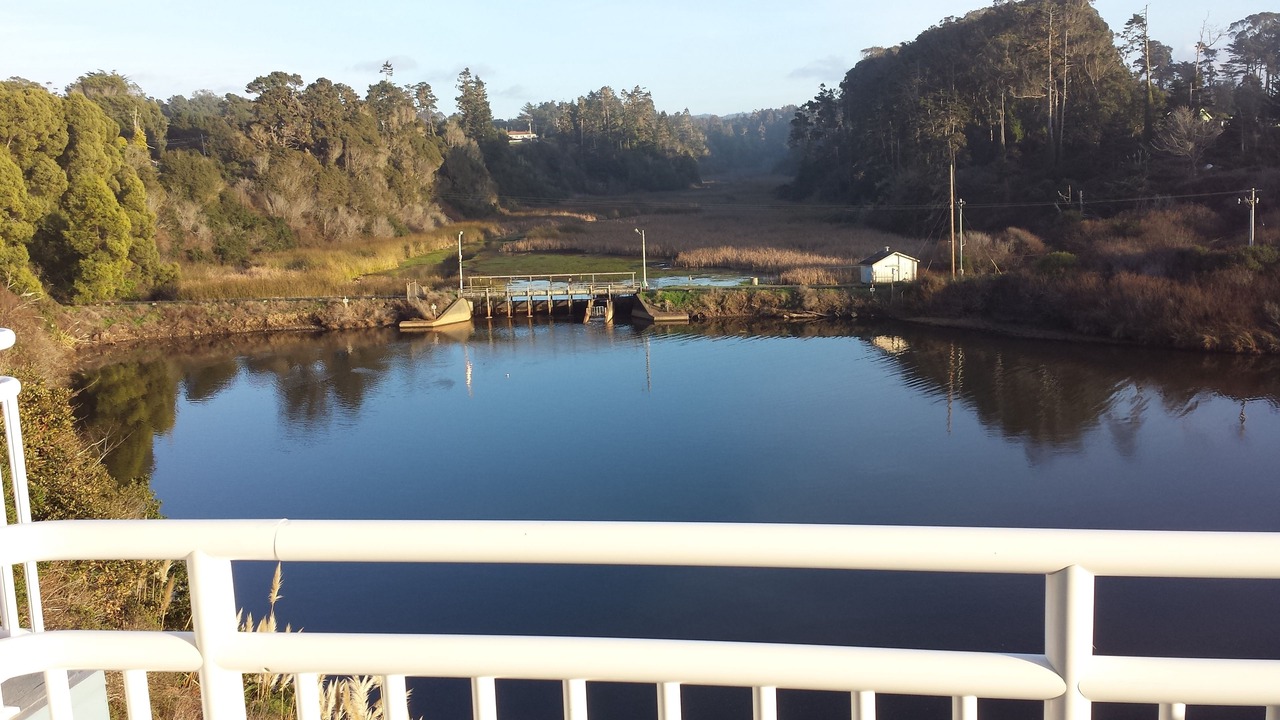 Photo of Others in Fort Bragg