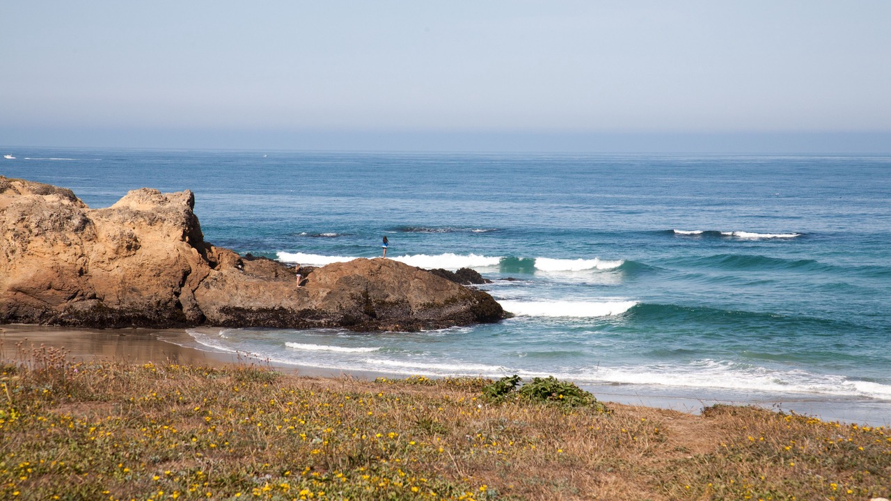 Photo of Others in Fort Bragg