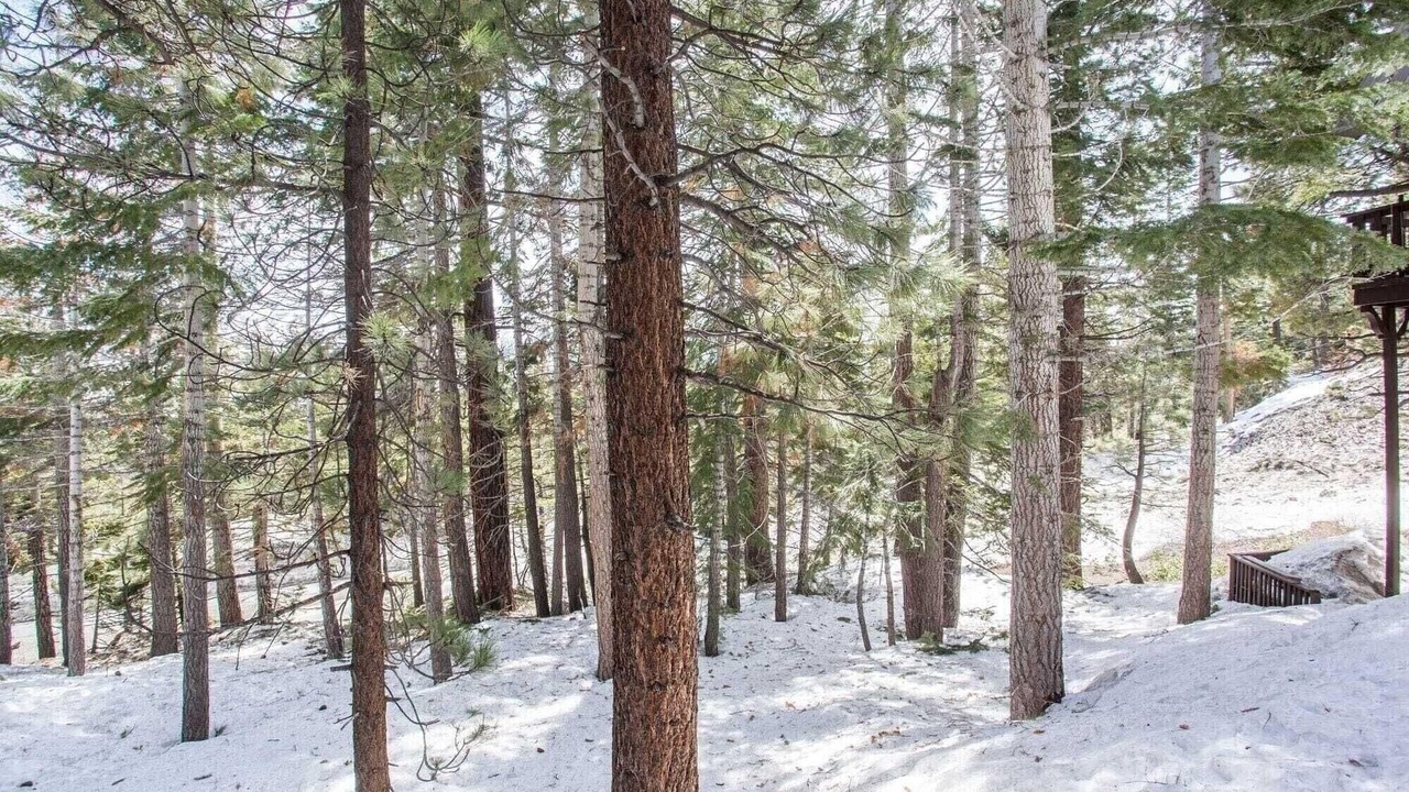 Photo of Outdoor in Mammoth Lakes