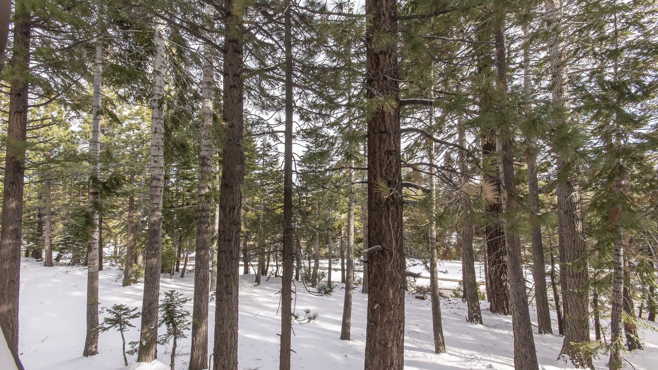 Photo of Others in Mammoth Lakes