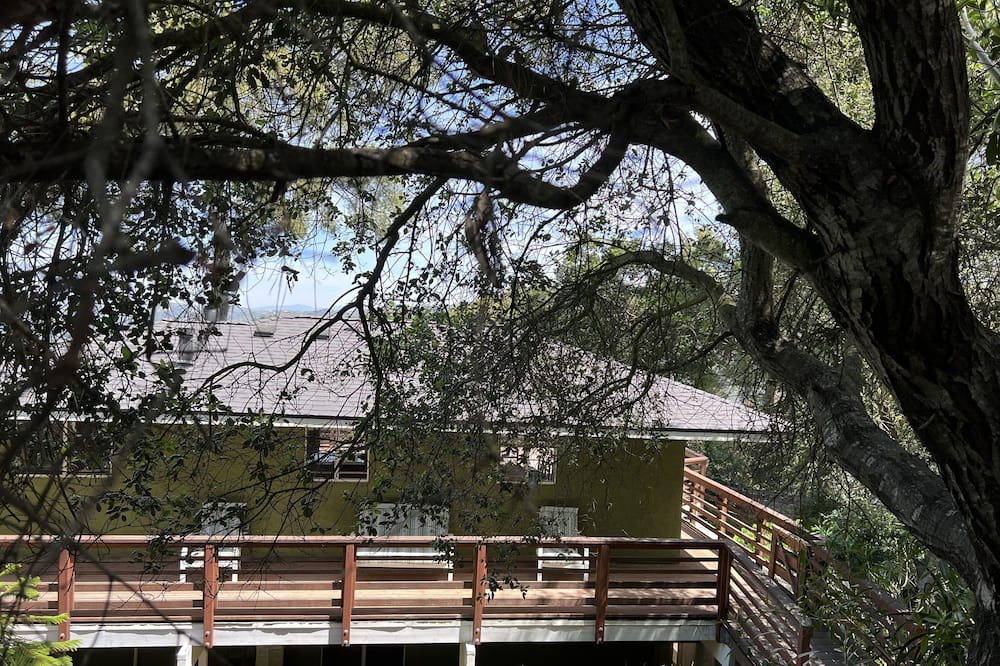 Photo of Outdoor in Fernwood