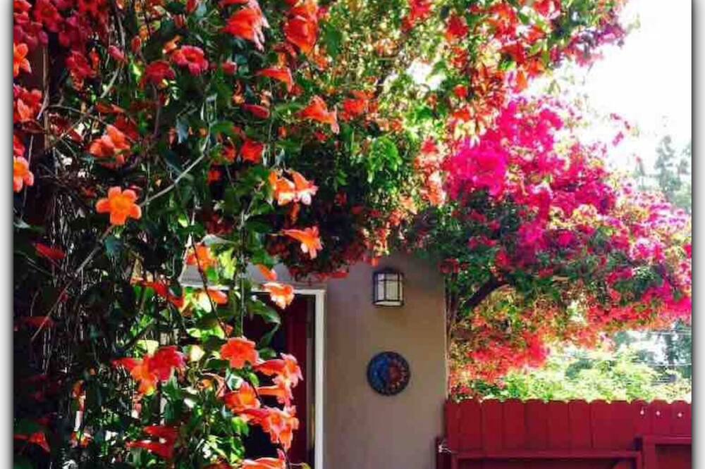 Photo of Outdoor in Altadena