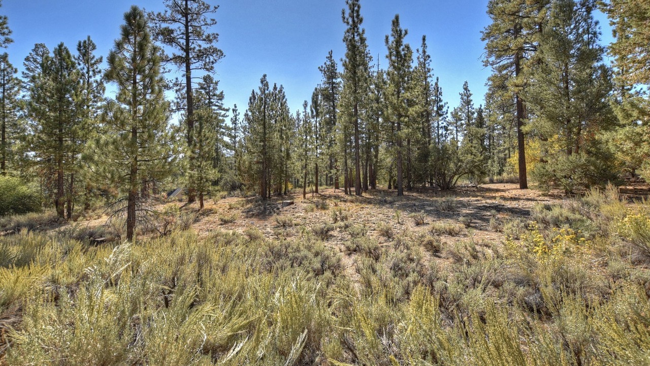 Photo of Outdoor in Eagle Mountain Estates