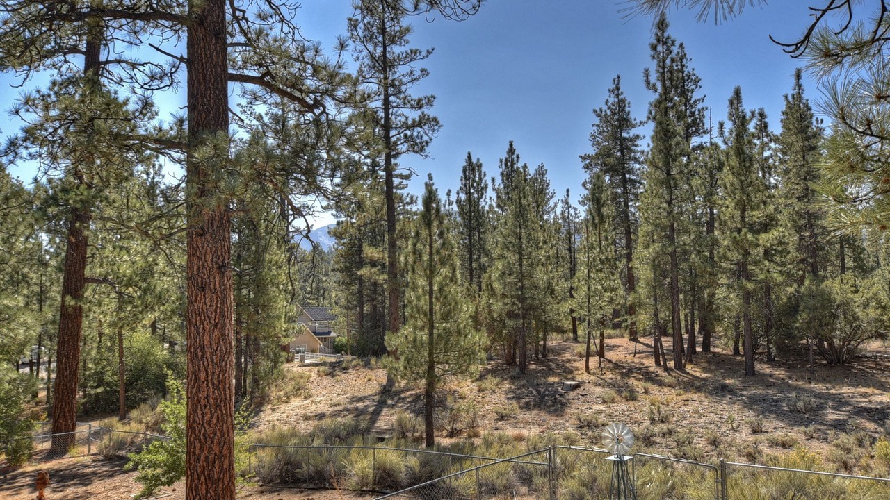 Photo of Outdoor in Eagle Mountain Estates