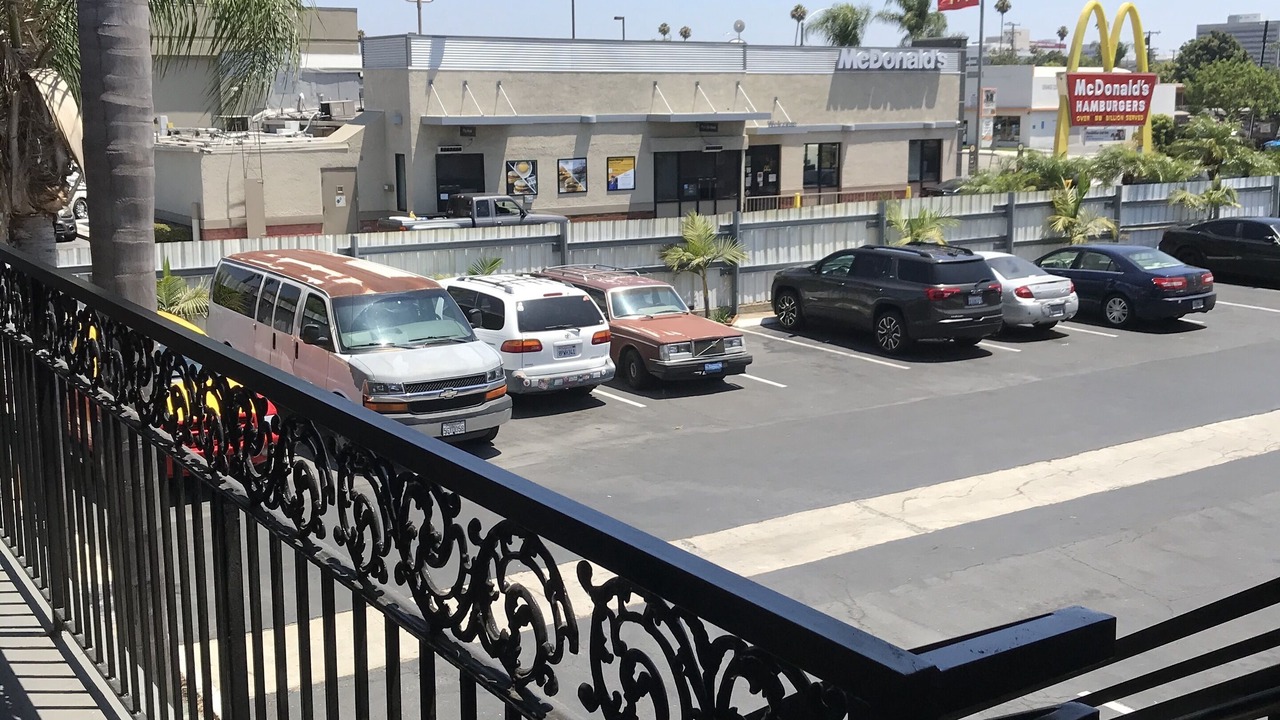 Photo of Others in Orange