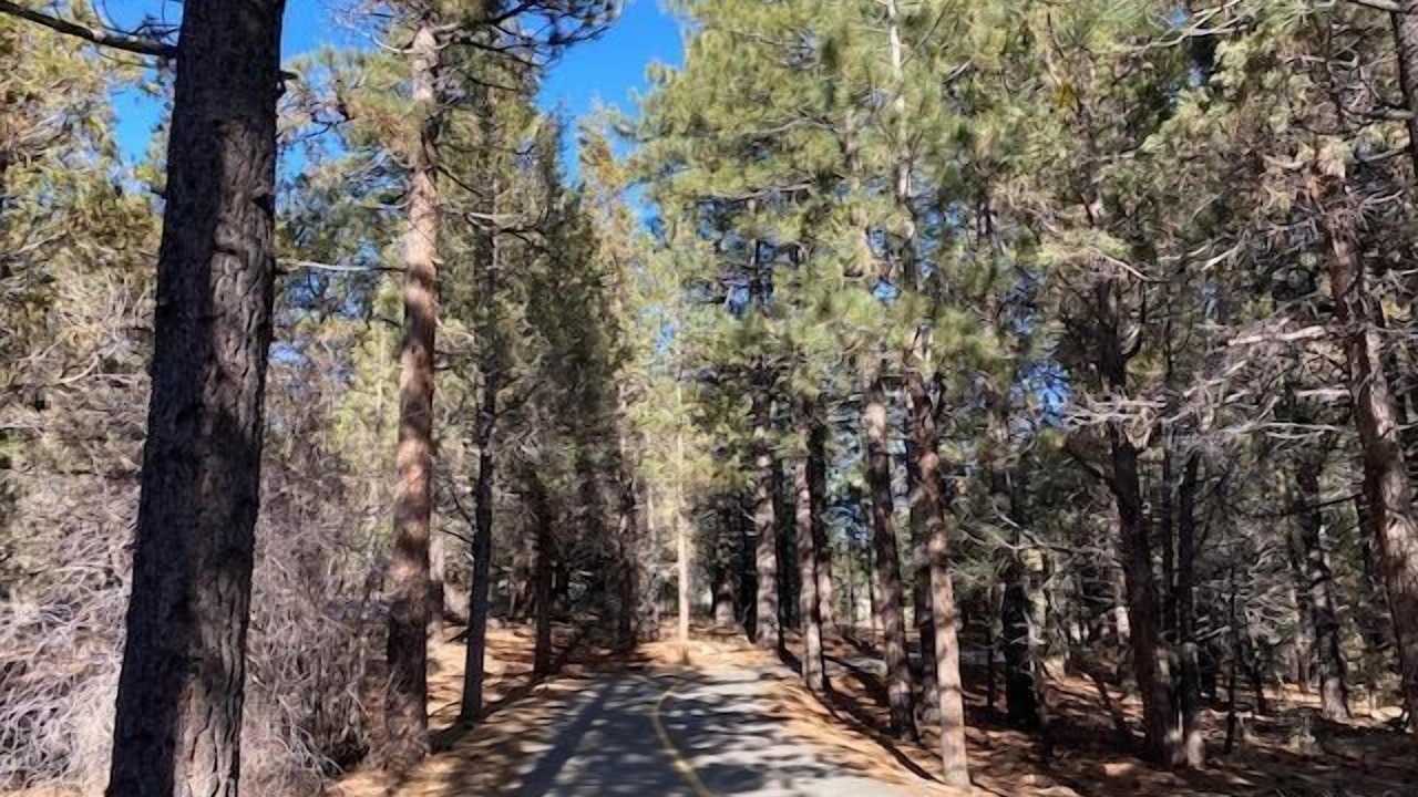 Photo of Outdoor in Summit Estates